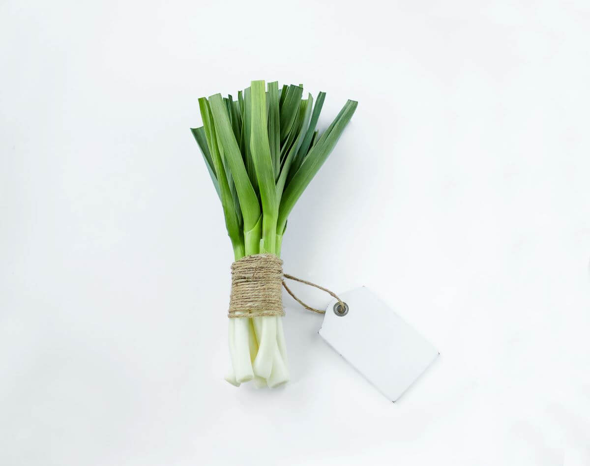 Leek - From Dora's Kitchen